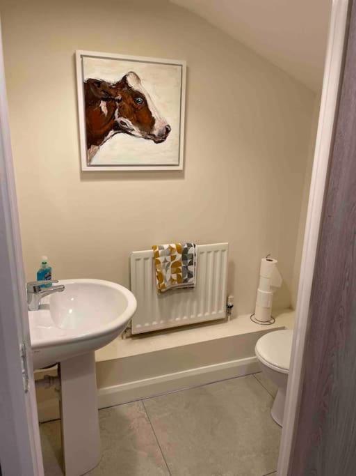 Villa Close To Centre.modern Opened Planned Belfast