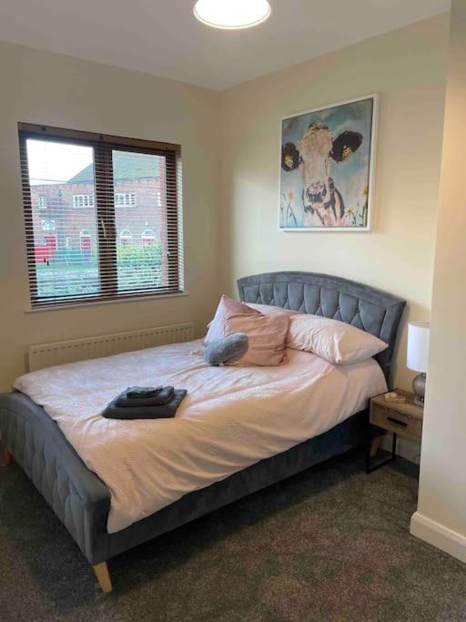 Close To Centre.modern Opened Planned * Belfast